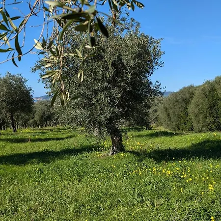 Casale Valverde Bed & Breakfast